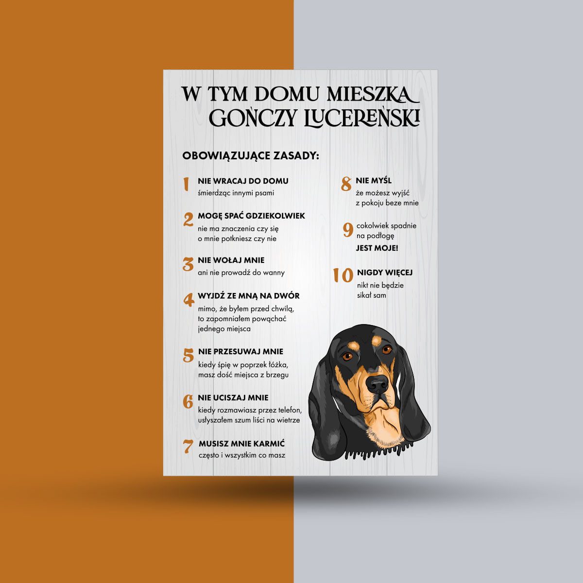 Tabliczka w tym domu mieszka gończy lucereński