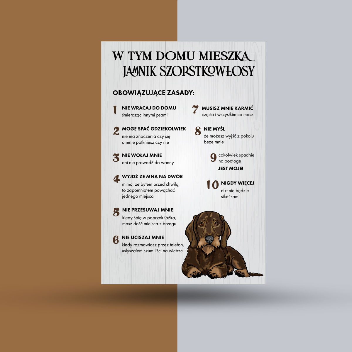 Tabliczka w tym domu mieszka jamnik szorstkowłosy