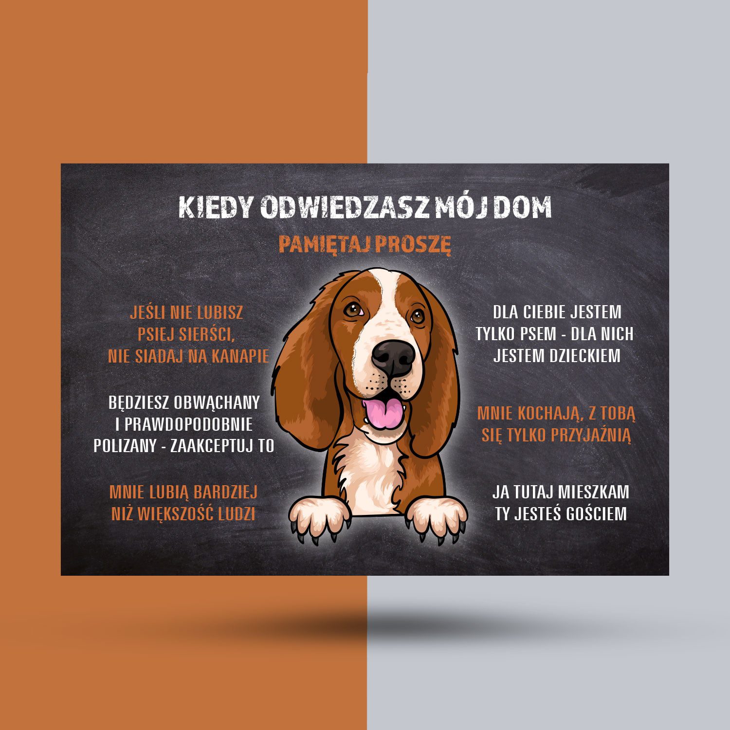 Tabliczka odwiedziny springer spaniel walijski