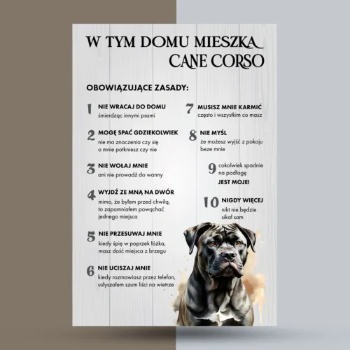 cane corso