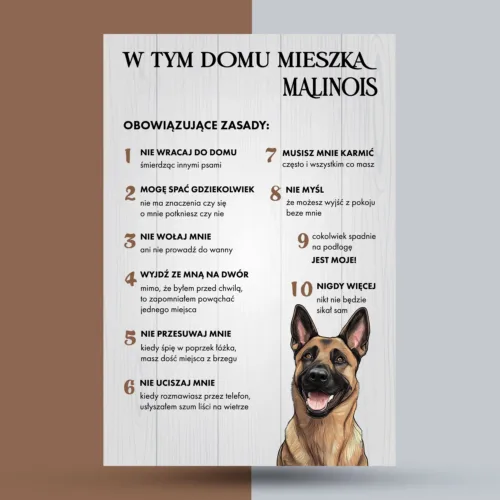 malinois