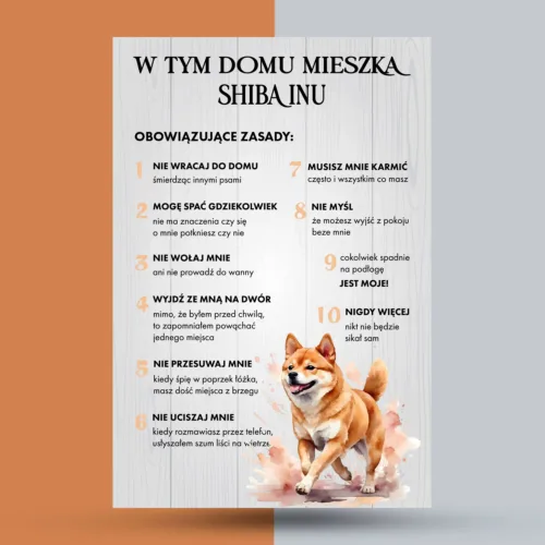 shiba inu