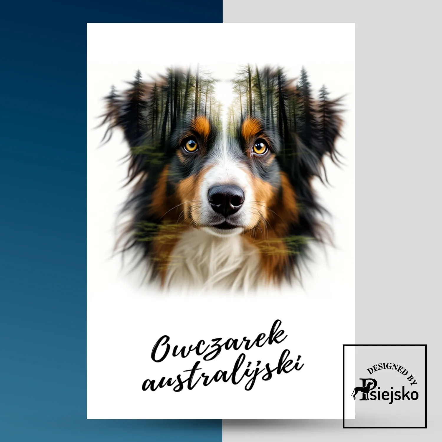 Tabliczka owczarek australijski las podwójna ekspozycja